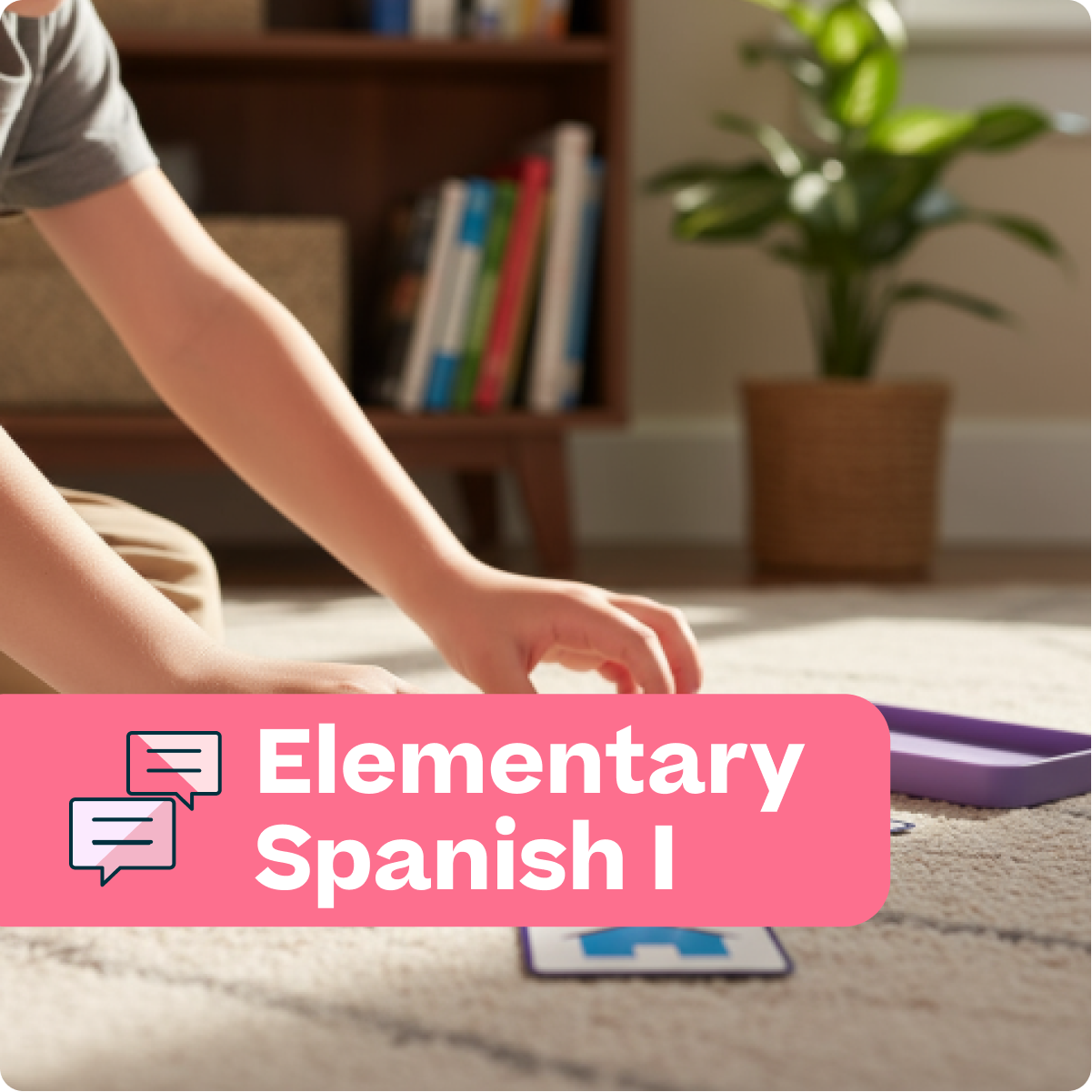 Person playing with educational toys on a carpeted floor, with a bookshelf and plant in the background.