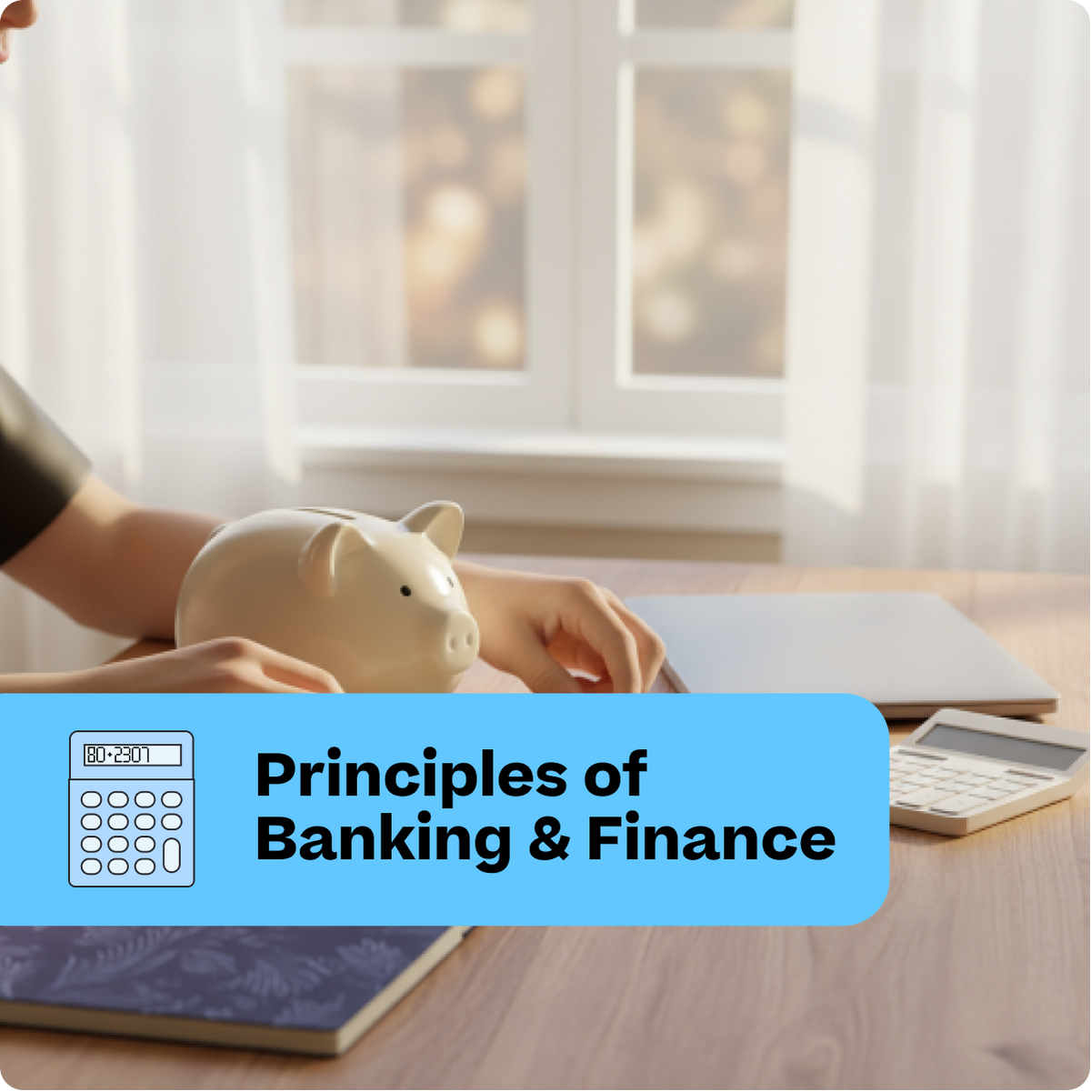 Principles of Banking and Finance – K12 Learning Store
